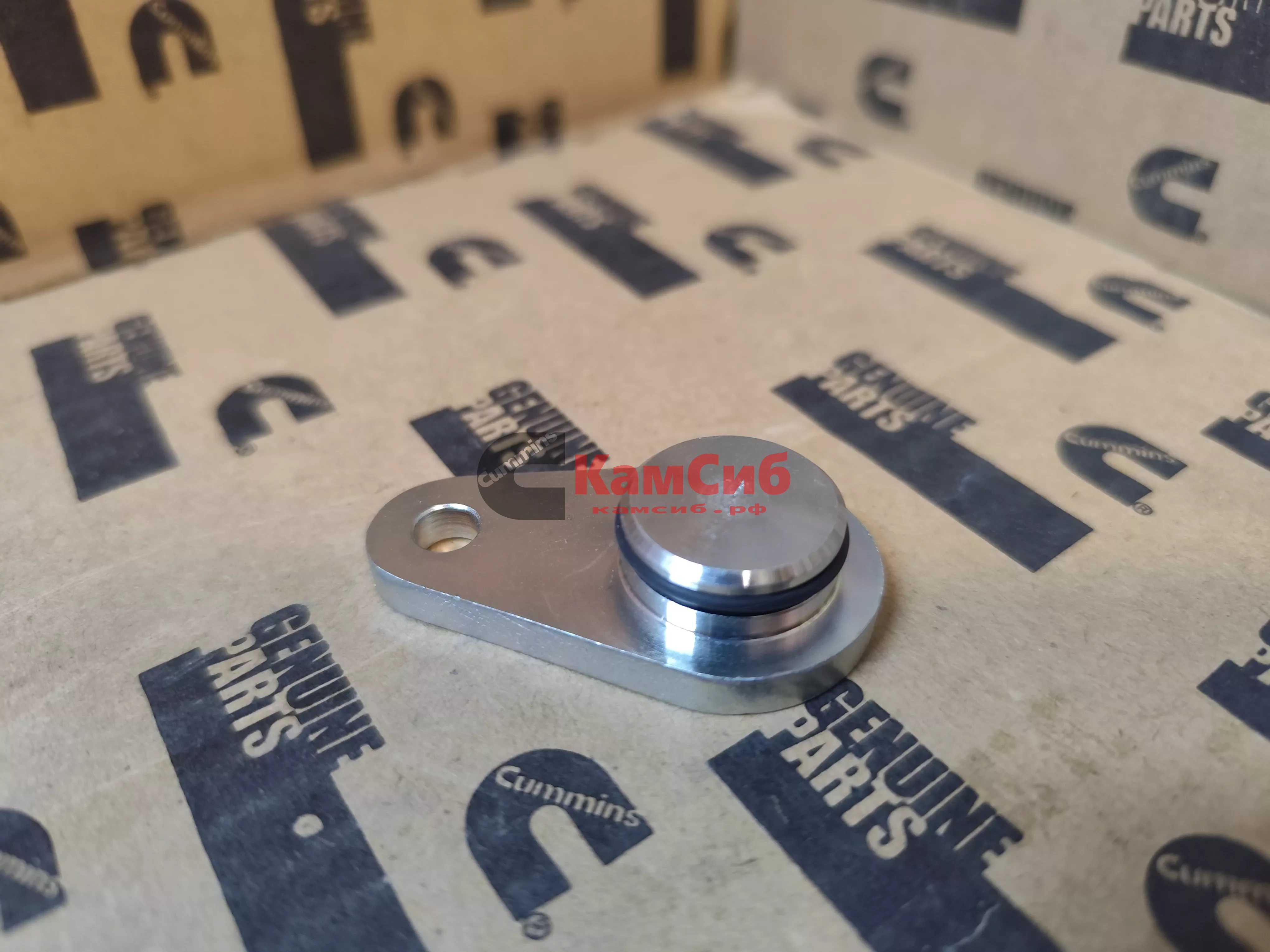 Пробка (заглушка) блока цилиндров ISF3.8