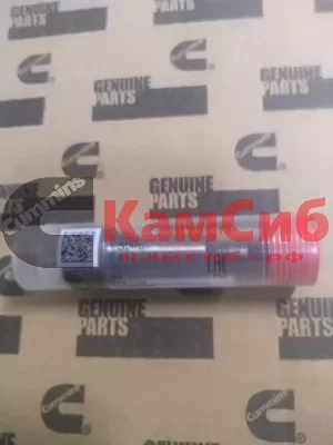 Пара плунжерная B5.9