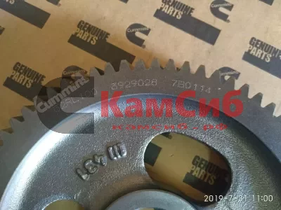 Шестерня р/вала 4ВТ/6ВТ/EQB 3902235