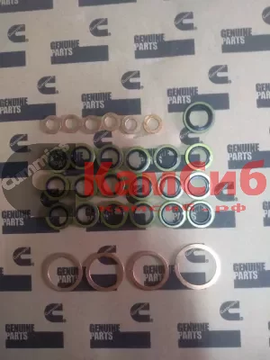 Комплект уплотнительных колец Cummins 6ISBe/6ISDe (верхняя часть) для комплекта 4955229