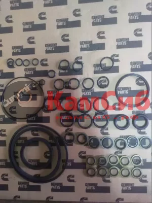 Комплект уплотнительных колец Cummins 6ISBe/6ISDe (нижяя часть) для комплекта 4955230