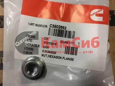 Гайка ТНВД M10 x 1.50