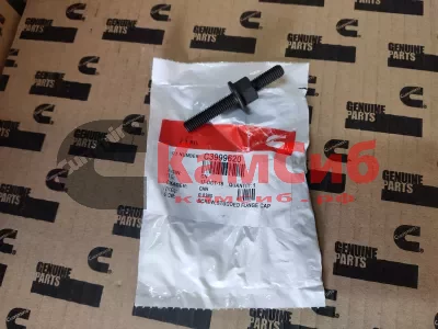 Шпилька крепл. впускного коллектора ISLe,L 3999620