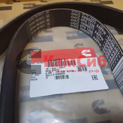 Ремень 8РК1226 US ОРИГИНАЛ (номер для 8РК1230  2831487