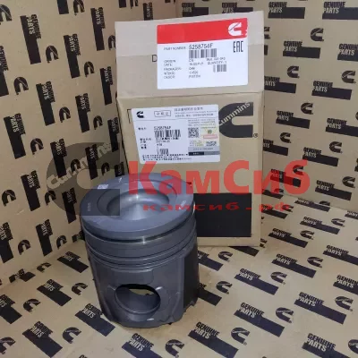 Поршень ДВС ISF 3.8 (Mahle)/СР