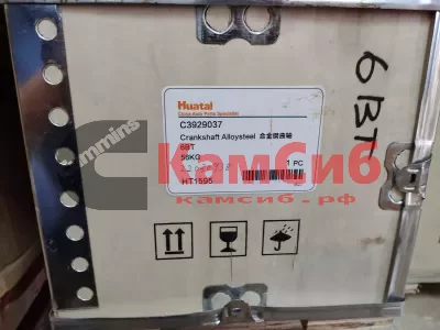 Вал коленчатый 6ВТ (EQB 180-20,EQB 210-20) 3903828 BGe Gas
