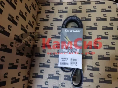 Ремень 8РК1600 DAYCO