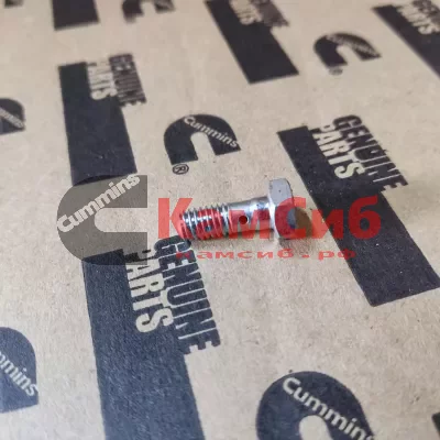 Болт M 6X1.00X16.3 штуцер трубки обратки 6CT
