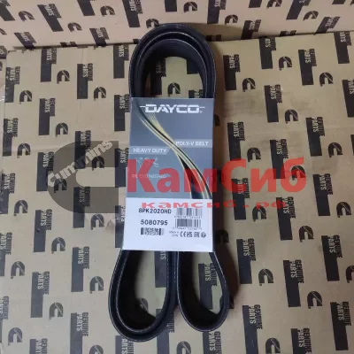 Ремень 8PK2020 DAYCO
