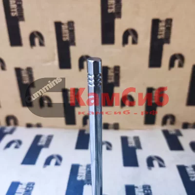 Клапан вЫпускной  NEXT NN SF 2.5/G21