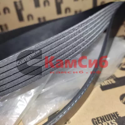 Ремень ISZ/QSZ 6PK1591
