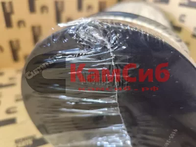 Фильтр топливный FS20258